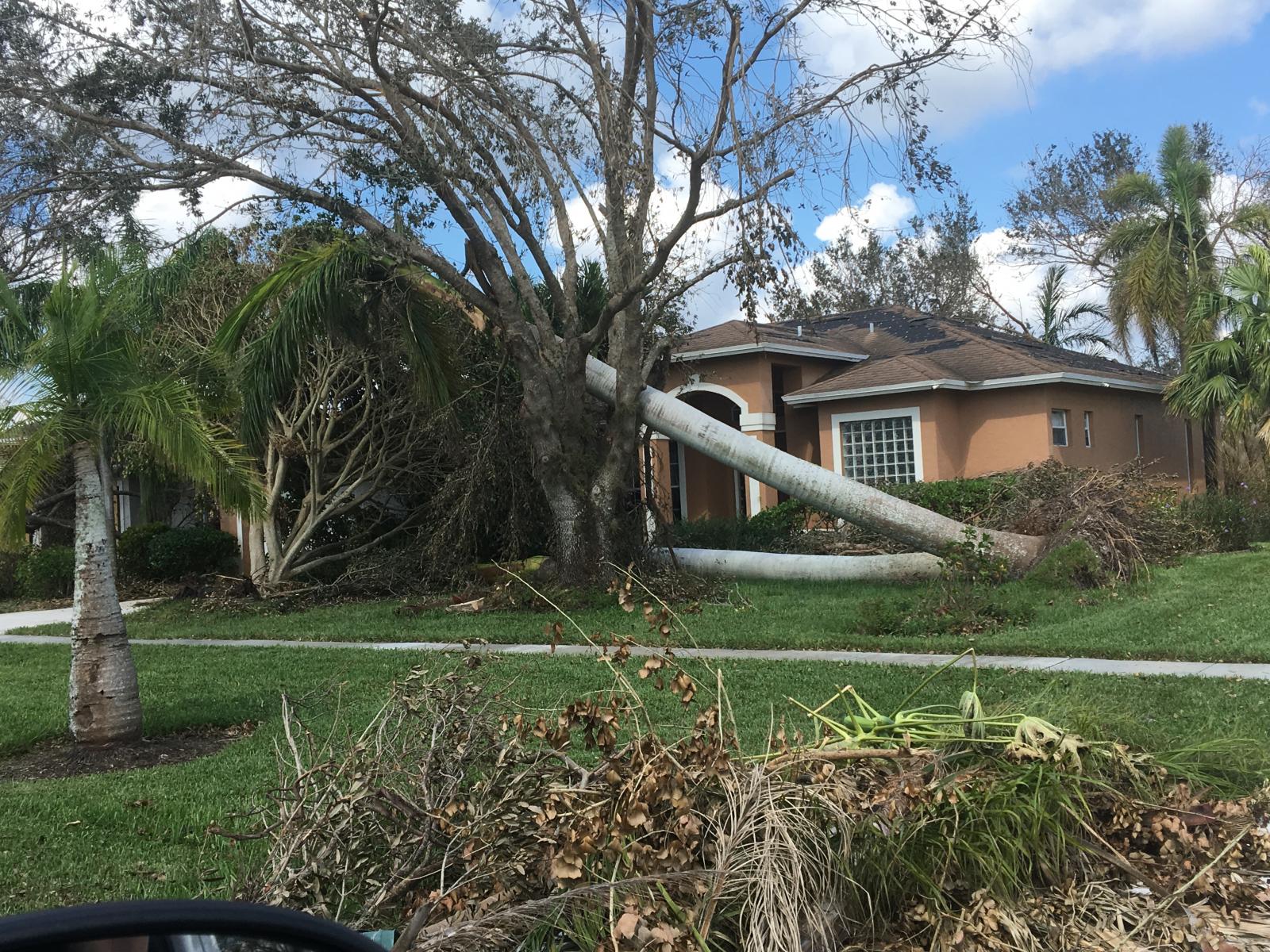 Hurricane Irma Local Report/Summary